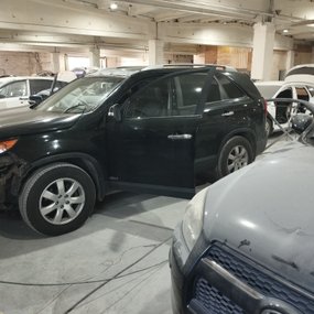 IMG_20260616_134900.jpg
